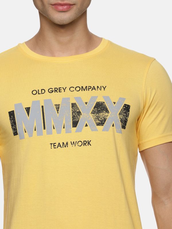 cotton t-shirts - Image 5